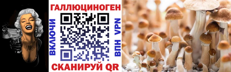 купить наркоту  Щёлково  Галлюциногенные грибы прущие грибы 